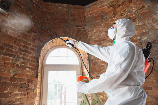 Best Emergency Mold Remediation in Sturtevant, WI